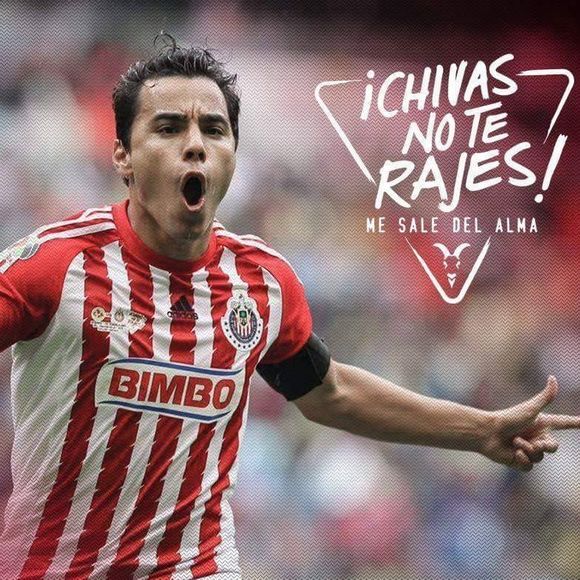 Meet your Posher, David - Picture 1 of 1